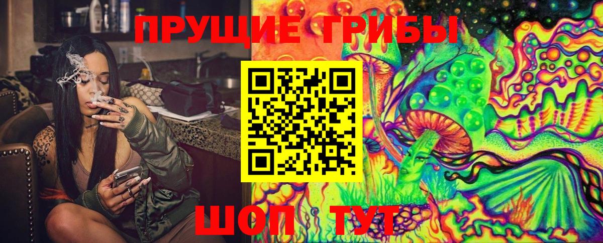 Псилоцибиновые грибы GOLDEN TEACHER  Вход с VPN  Сыктывкар 